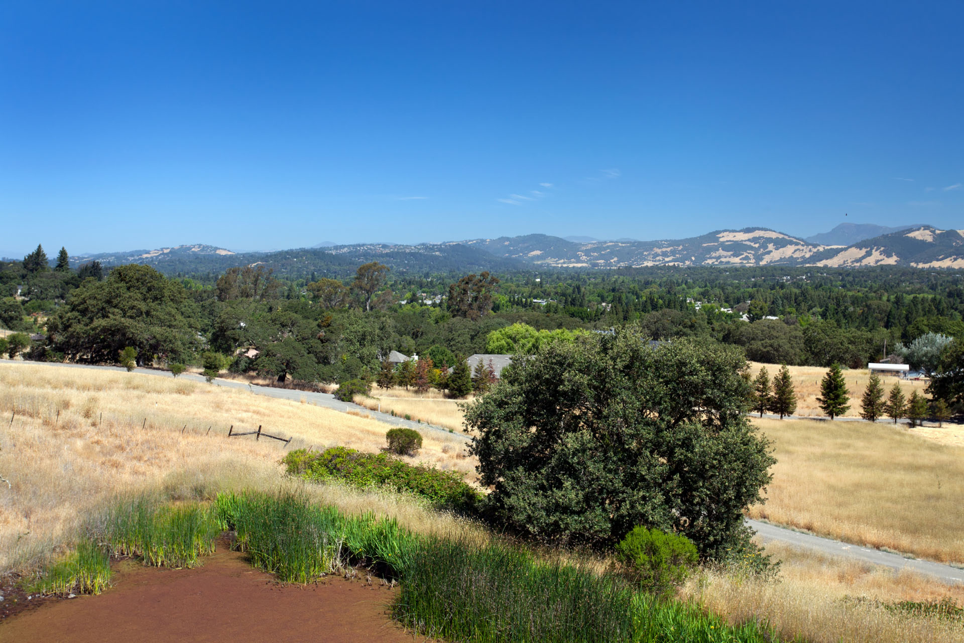 Valley Acreage For Sale