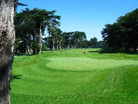 Harding Park Golf Club