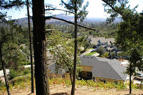 Panoramic View Home For Sale