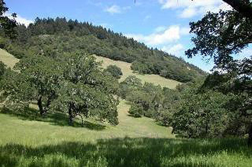 10 Acre Valley of the Moon View Parcel