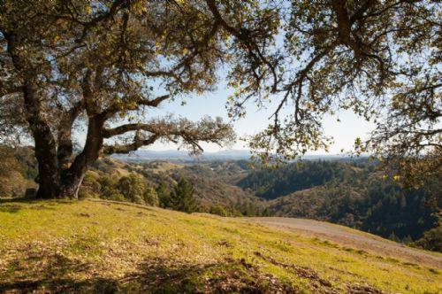 Healdsburg View Ranch Sold by Top Agent Doug Swanson
