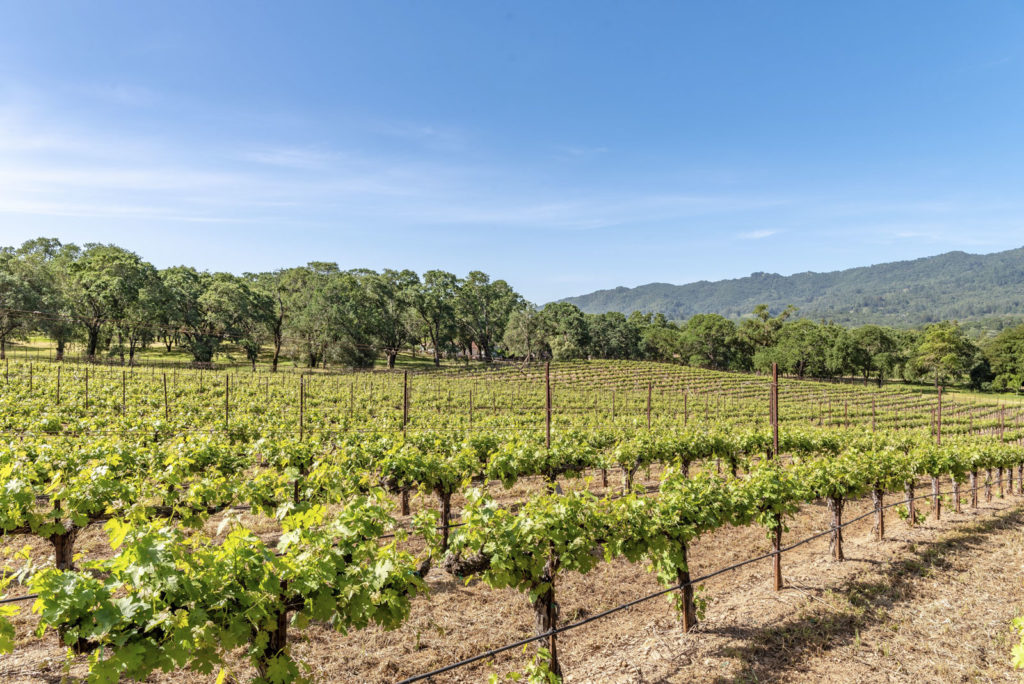 Ever wonder how many bottles of wine are made from 1 acre of vineyard? Doug Swanson Estates