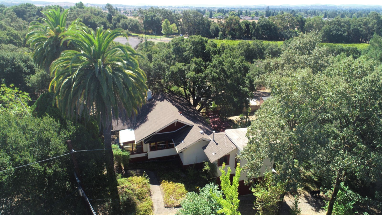 Petaluma Hill Vintage Home for sale NE Santa Rosa